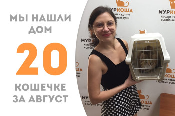 Кошечка Тэона через два с половиной месяца в приюте обрела новый дом!