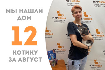 Годовалый котик Тонис нашёл своё счастье! 