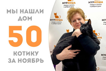 Четырёхлетний котик Тунгус обрёл свою вселенную! 