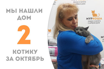 Котик Тургенев родом из Орловщины менее чем за два месяца обрёл новый дом!