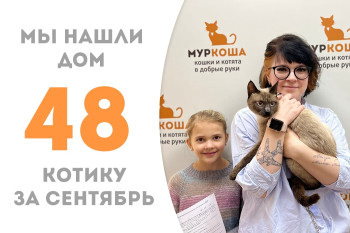 Котик Улун нашёл своё счастье, пробыв три месяца в приюте!