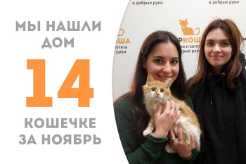 Малютка Ярославка, повзрослев в приюте на три месяца, уехала домой!