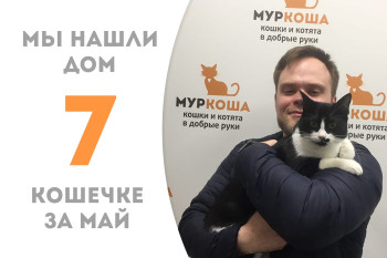 Кошечка Юна начинает новую жизнь! 