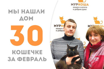 Кошечка Алиня рада представить свою семью!