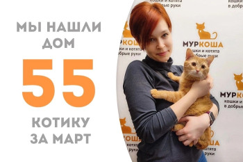 Рыжий Априкот отправился в новый дом!
