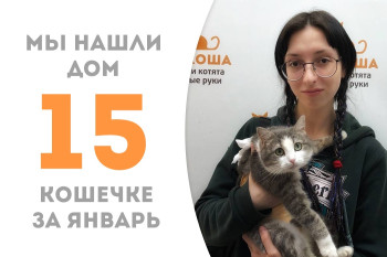 Юная Асенька нашла новый дом, проведя менее месяца в приюте!