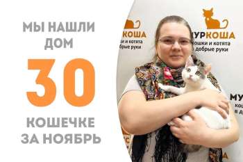 За 3,5 месяца Бакарди обрела своего человека!
