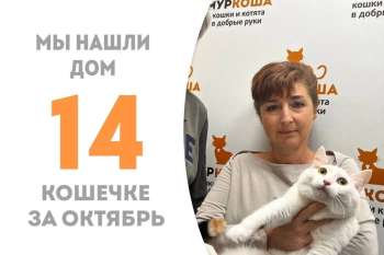 Беляночка становится домашней!