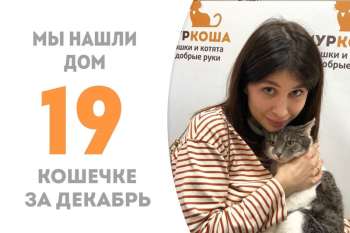Пробыв в приюте чуть более месяца счастливая Бейонсе уезжает к куратору!