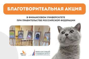 С заботой о котиках