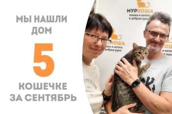 Брунгильда стала домашней и будет жить с Айви!
