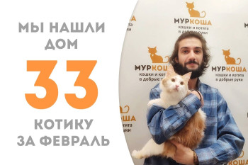 Котик Брюня встретил надёжного друга!