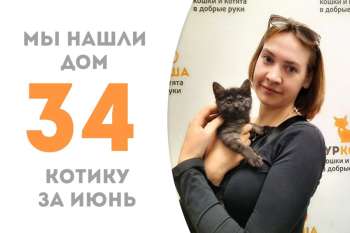 Бугатти стал домашним всего за три недели!
