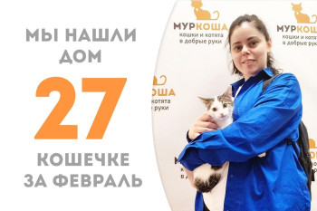 Кошечка Бугги стала домашней за два месяца!