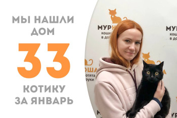 Двухлетний котик по имени Царь уехал в домашнее царство!
