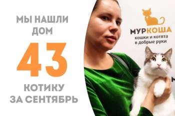 Дункан становится домашним!