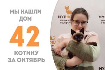 Джанго встретил своего человека и обрел дом всего за неделю!