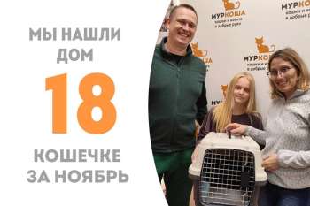 Элин встретила своих людей и стала домашней!