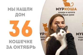 Около 3 месяцев понадобилось Флэнни, чтобы стать домашней!