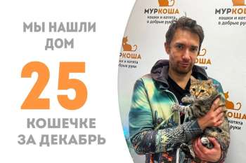 Флирина обрела дом!