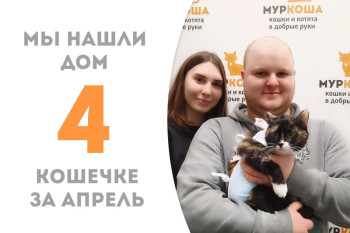 Чуть больше двух месяцев потратила Флорина на то, чтобы найти семью, да не простую, а с нашим выпускником Никлаусом!