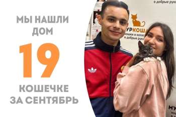 Всего неделя понадобилась Фриде, чтобы покорить сердца своих людей!