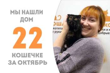 За 3 месяца Гармония обрела дом!