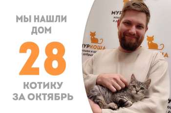 Гейминг, играючи, обрел дом всего за два месяца!
