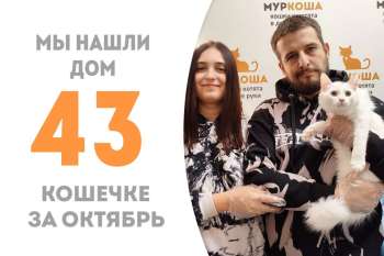 Гортензия встретила свою семью всего лишь за один месяц!