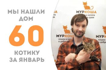Котёнок Графс познакомился с будущим хозяином и с радостью уехал домой!