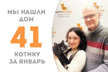 Десятимесячный котик по имени Губкин дождался своих людей и уехал домой!