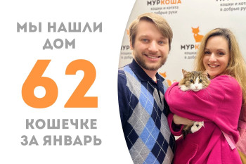 Кошечка Карамелькина стала домашней и любимой сдобушкой!