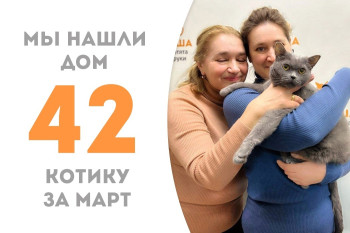 У котика Картера появились дом и семья!
