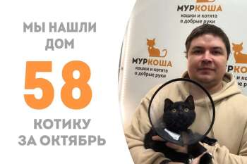 Чуть больше трех месяцев понадобилось Клоду, чтобы встретить своего хозяина!