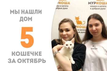 Космонавтика всего за 3 дня нашла своих людей!
