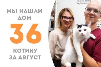 Всего один месяц и Кустик становится домашним!
