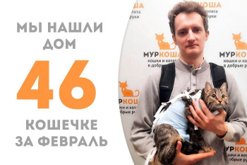 Кошечка Кутерьма отправилась в новый дом!