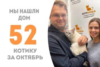 Чуть меньше 3 месяцев понадобилось Лариону, чтобы обрести семью!