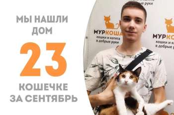 Лавандина едет домой!