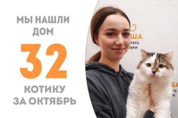 Лексик стал домашним!