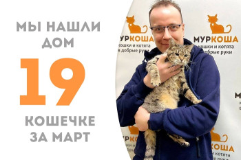Три месяца понадобилось годовалой Кошечке Леонне, чтобы найти своего человека и обрести дом!
