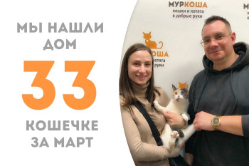 Кошечка Либру в годик и восемь месяцев нашла семью и дом!