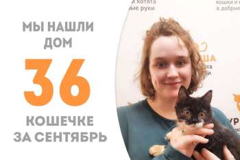 Прелестная Личи, проведя в приюте полтора месяца, упорхнула домой!