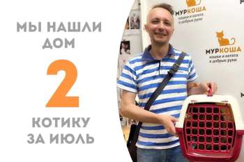 Кот Лондон встретил своего хозяина!