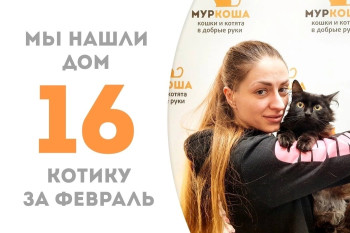 Котик Малышун встретил прекрасную хозяйку!