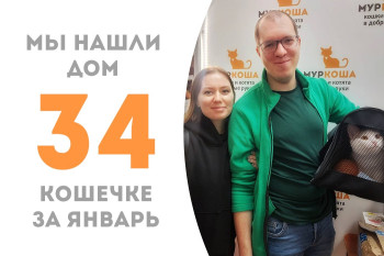 Очаровашка Манго встретила в приюте свою семью и уехала домой!