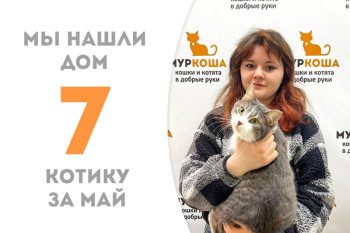 Котик Маркс рад представить свою чудесную хозяйку!