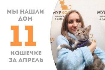 Марусинья всего через полтора месяца стала домашней!