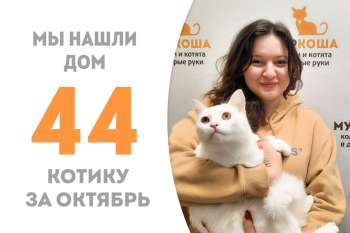 Очаровательный Медвежонок встретил свою хозяйку меньше, чем за три недели!