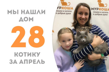 Котик Мотя Пухов стал частью прекрасной семьи всего через два месяца!